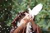 Filename=DSC_4795.jpg
Filesize=73KB
Dimensions=320x212
Date added=Jan 31, 2007 DSC_4795.jpg