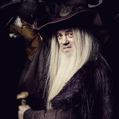 Merlin spectacle animation